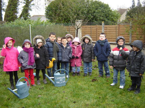 Plantation école