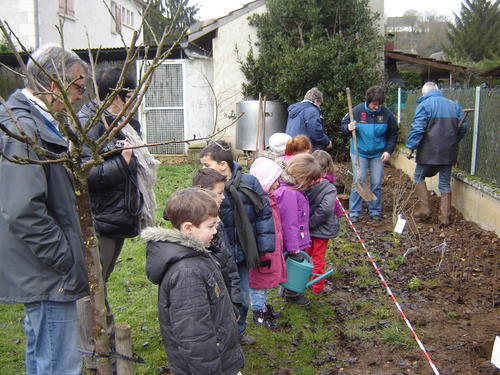 Plantation école 2