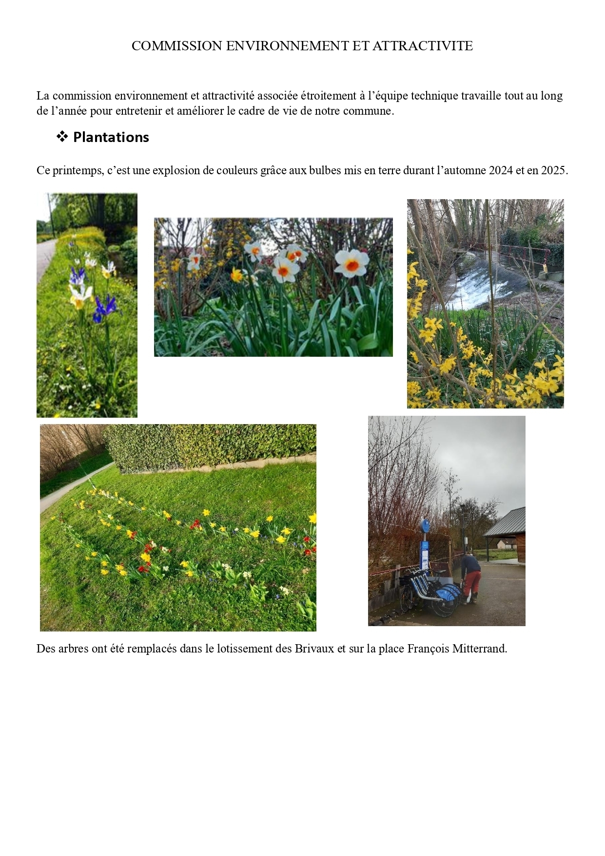 plantations_page-0001